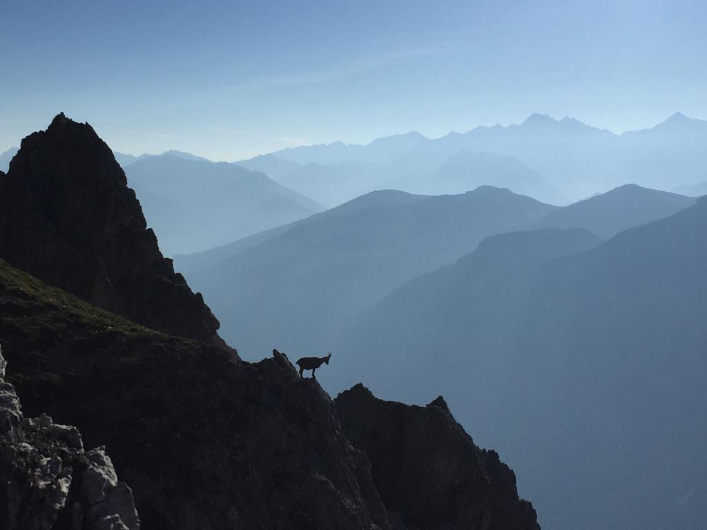 Alpenhaus Monte Hotel Neustift im Stubaital Kültér fotó